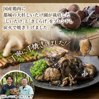 鶏ときのこ炭火焼き100g×9袋