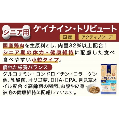 ドッグフード 愛犬への贈り物(シニア用)3.2kg
