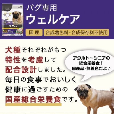 ドッグフード(パグ専用)アダルト～シニア5.5kg