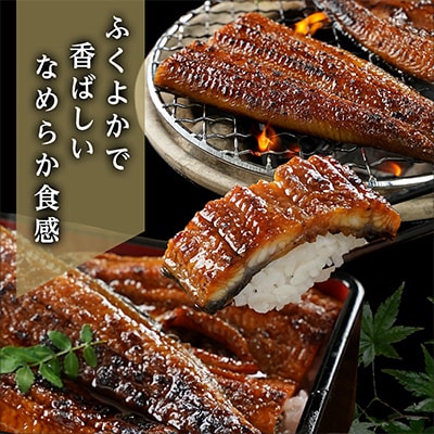 職人手焼きの本格うなぎ蒲焼き2尾