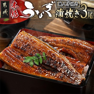 職人手焼きの本格うなぎ蒲焼き3尾