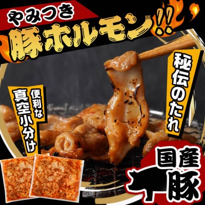 やみつき豚ホルモン!3kg!真空小分けパック!