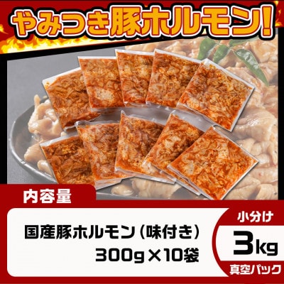 やみつき豚ホルモン!3kg!真空小分けパック!