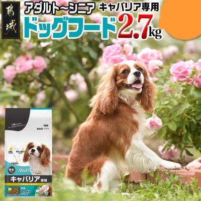 ドッグフード(キャバリア専用)アダルト～シニア2.7kg