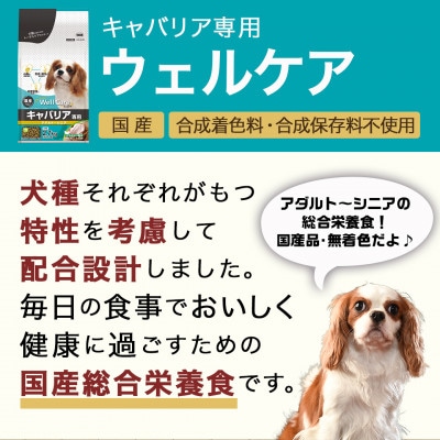 ドッグフード(キャバリア専用)アダルト～シニア2.7kg