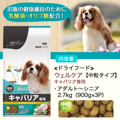 ドッグフード(キャバリア専用)アダルト～シニア2.7kg