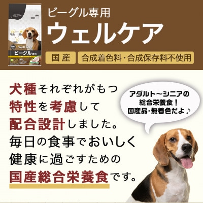 ドッグフード(ビーグル専用)アダルト～シニア2.7kg