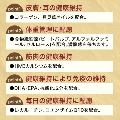 ドッグフード(ビーグル専用)アダルト～シニア2.7kg