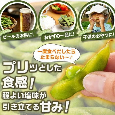 南国育ちのおいしい枝豆 2kg