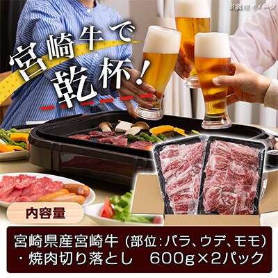宮崎牛焼肉切り落とし1.2kg(600g×2p)