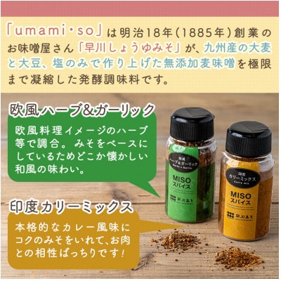 【発酵調味】Misoスパイス2種と豚肩ロース600g・豚みそ漬け720gセット【真空小分け】