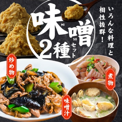 【さとふる限定】【甘口】宮崎のふるさとの味　麦味噌・合わせ味噌　各2袋セット