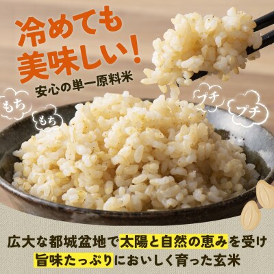 【令和6年産】伝統の味!都城産ヒノヒカリ玄米5kg【2024年10月下旬より順次発送】