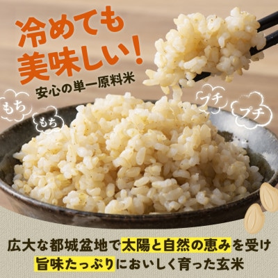 【令和6年産】伝統の味!都城産ヒノヒカリ玄米10kg【2024年10月下旬より順次発送】