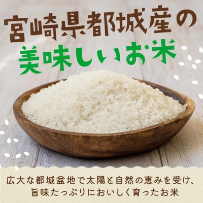 【令和6年産】伝統の味!都城産ヒノヒカリ(無洗米)5kg【2024年10月下旬より順次発送】