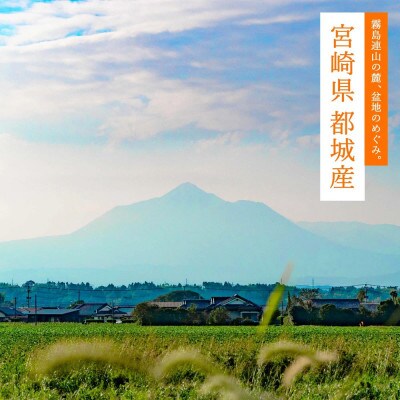 【令和6年産】伝統の味!都城産ヒノヒカリ(無洗米)15kg【2024年10月下旬より順次発送】