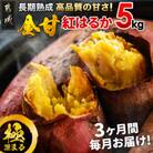【毎月定期便】都城産 長期熟成紅はるか 5kg全3回