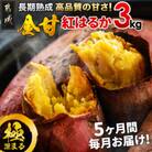 【毎月定期便】都城産 長期熟成紅はるか 3kg全5回