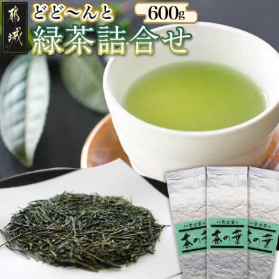 どどーんと緑茶詰合せセット 0.6kg(200g×3袋)【宮崎県 都城市 お茶の斉光園】