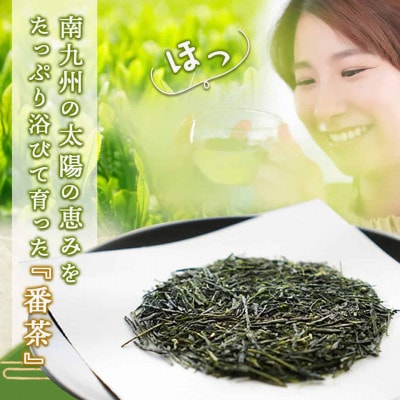 どどーんと緑茶詰合せセット 0.6kg(200g×3袋)【宮崎県 都城市 お茶の斉光園】