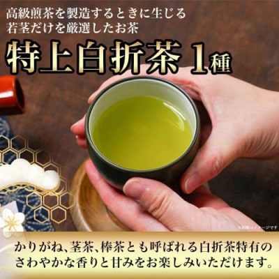 人気の緑茶4種飲み比べ360gセット【宮崎県都城市 お茶の斉光園】