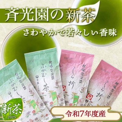 〈令和7年度産〉新茶360g【宮崎県都城市 斉光園】