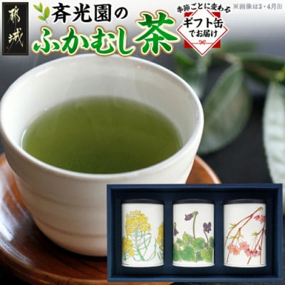 斉光園のふかむし茶 常盤[ときわ] 3缶ギフト