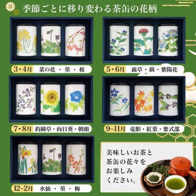 斉光園のふかむし茶 常盤[ときわ] 3缶ギフト