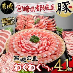 【さとふる限定】【使い易さ抜群】都城産豚「高城の里」わくわく4.1kgセット!!【期間限定】