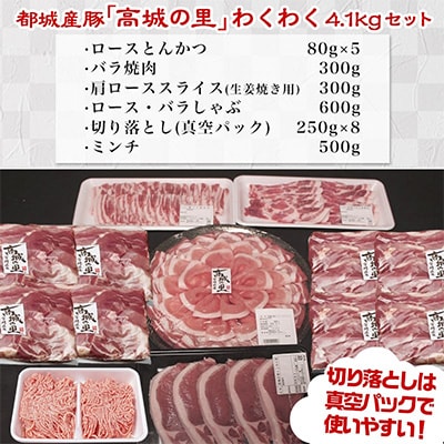 【さとふる限定】【使い易さ抜群】都城産豚「高城の里」わくわく4.1kgセット!!【期間限定】