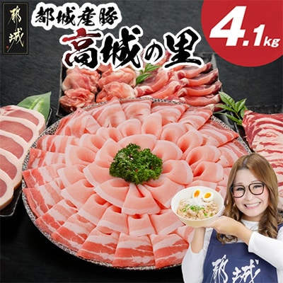 【使い易さ抜群】都城産豚「高城の里」わくわくセット4.1kg