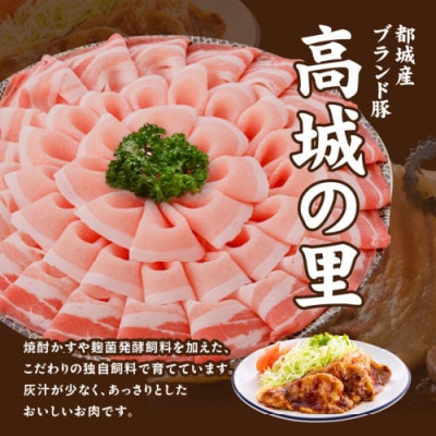 【使い易さ抜群】都城産豚「高城の里」わくわくセット4.1kg