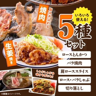 【使い易さ抜群】都城産豚「高城の里」わくわくセット4.1kg