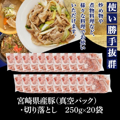 宮崎県産豚切り落とし5.0kg(真空)