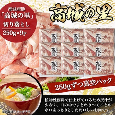 都城産豚「高城の里」切落とし　小分け真空パックで2.25kg!