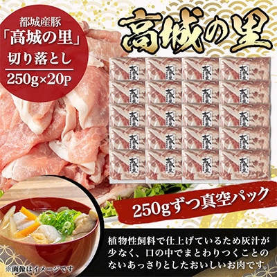 都城産豚「高城の里」切落とし　小分け真空パックで5kg!