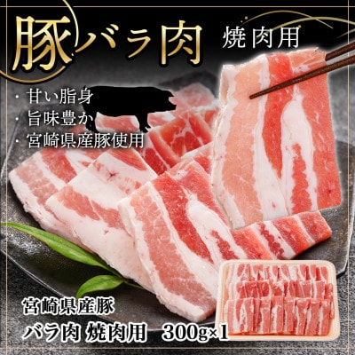 牛・豚・鶏の焼肉セット(宮崎牛ロース肉・豚バラ肉・若鶏もも肉)(都城市)