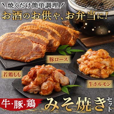 牛・豚・鶏ももみそ焼きセット(牛ホルモン・豚ロース・若鶏もも)(都城市)