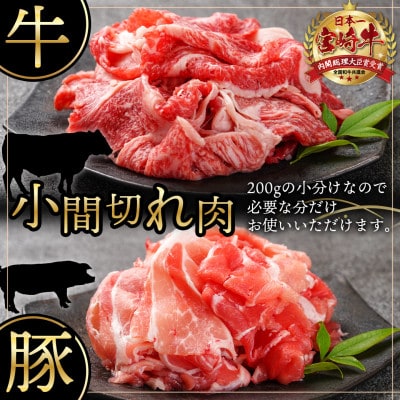 牛・豚・鶏のバラエティー2.1kgセット(都城市)