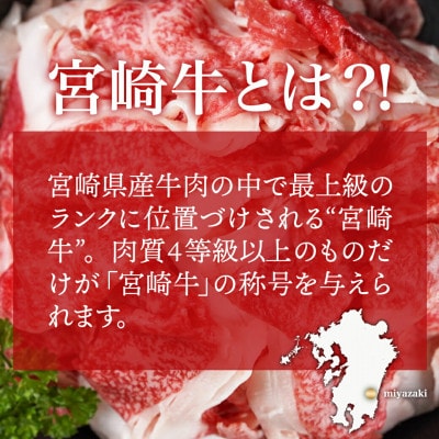 【毎月定期便】都城産宮崎牛と宮崎県産若鶏の定期便8.2kg全6回