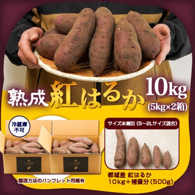 【農家直送】山下農園の熟成紅はるか 10kg