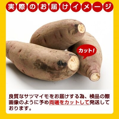 【農家直送】山下農園の熟成紅はるか 10kg