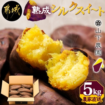 【農家直送】山下農園の熟成シルクスイート 5kg