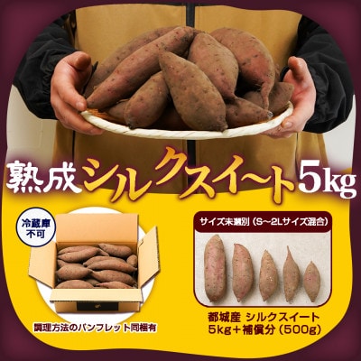 【農家直送】山下農園の熟成シルクスイート 5kg