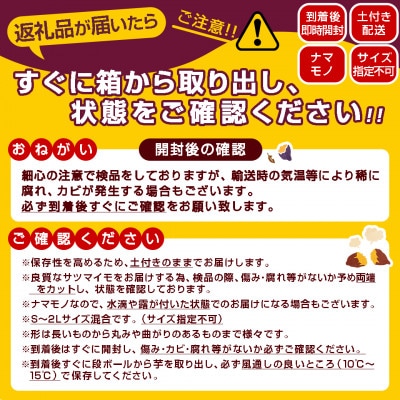 【農家直送】山下農園の熟成シルクスイート 5kg