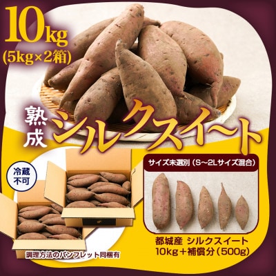 【農家直送】山下農園の熟成シルクスイート 10kg