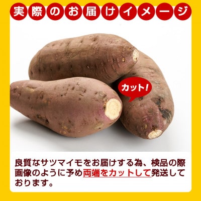 【農家直送】山下農園の熟成シルクスイート 10kg