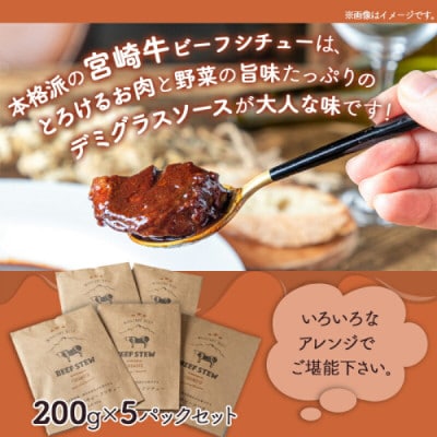とろける宮崎牛ビーフシチュー5パックセット