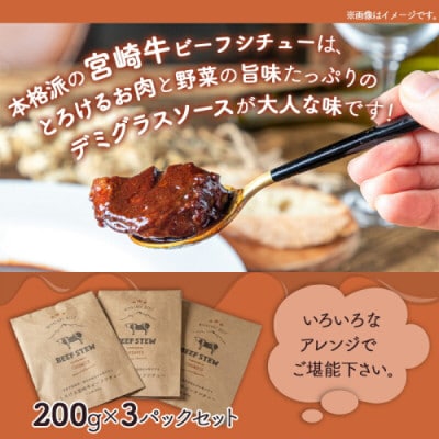 とろける宮崎牛ビーフシチュー3パックセット