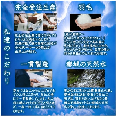 洗える片寄らない羽毛肌掛布団ホワイトダックダウン93%シングル0.3kgアイボリ-ry0203sIV